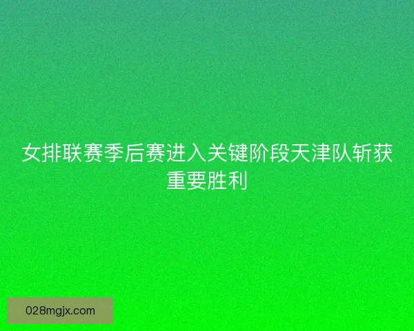 女排联赛季后赛进入关键阶段天津队斩获重要胜利
