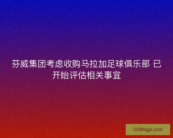 芬威集团考虑收购马拉加足球俱乐部 已开始评估相关事宜