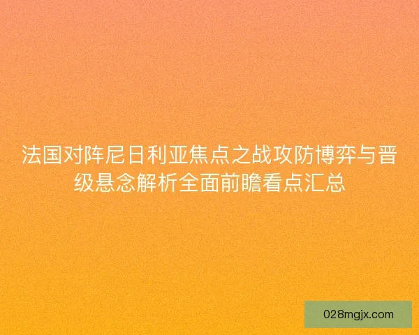 法国对阵尼日利亚焦点之战攻防博弈与晋级悬念解析全面前瞻看点汇总